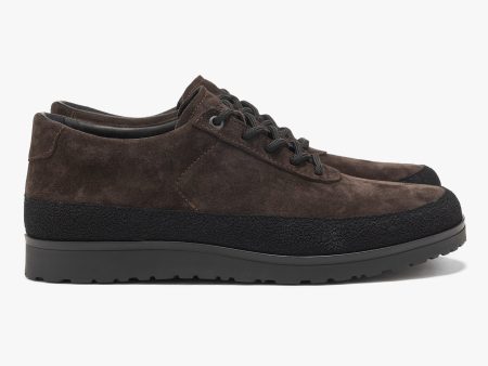 Explorer Suede Dark Brown Online now